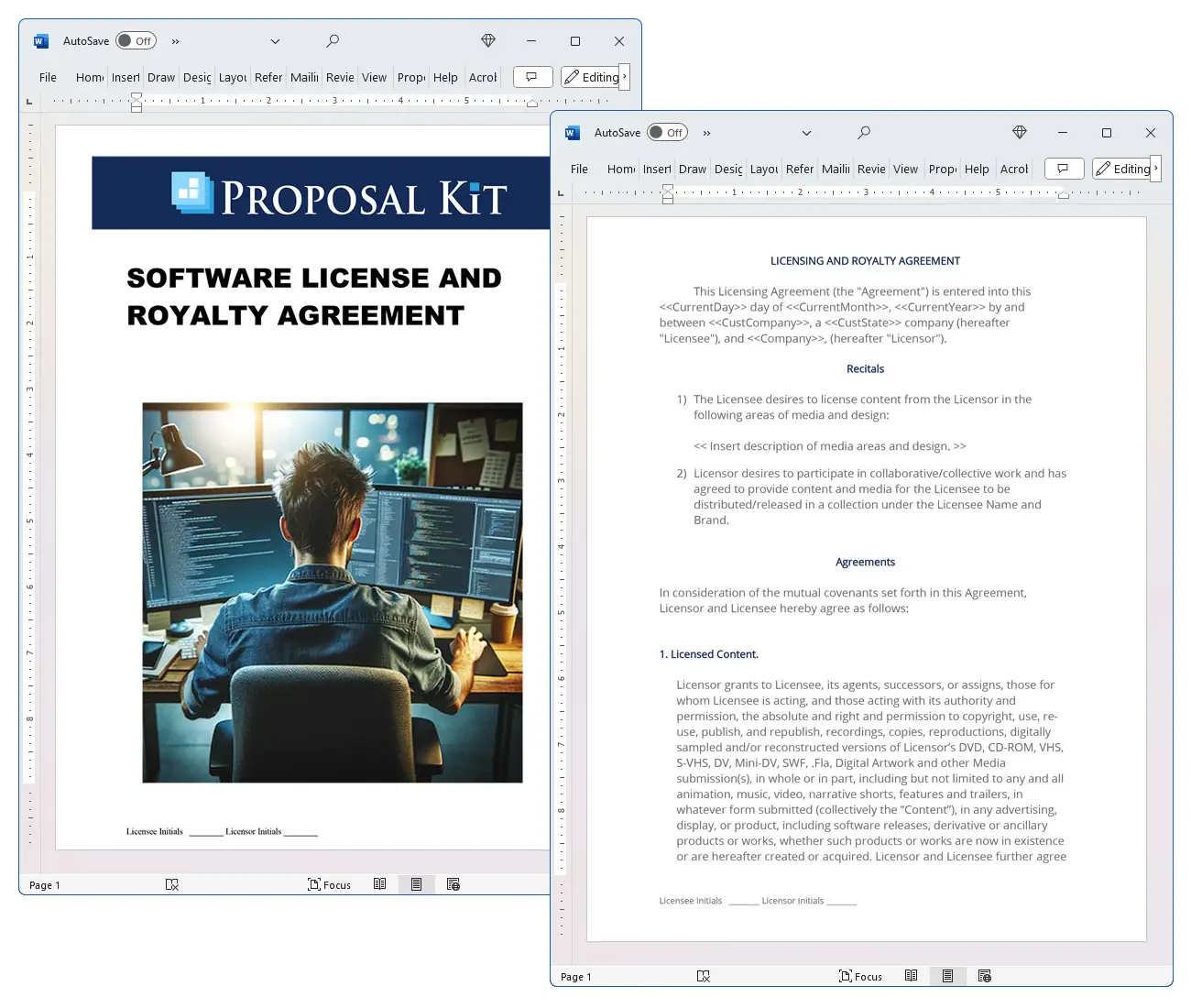 Software License and Royalty Agreement Concepts