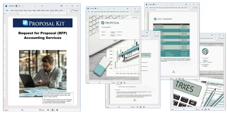 Proposal Pack Accounting #1 Screenshot of Pages